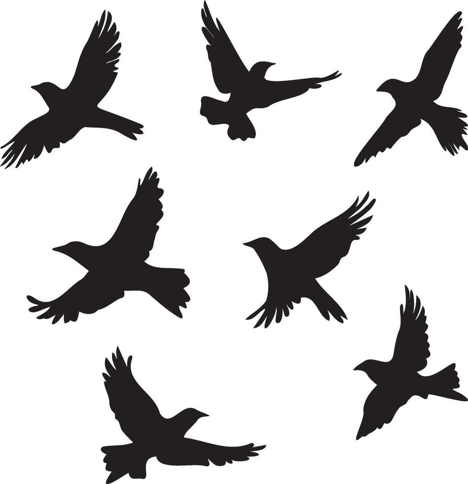Silhouettes of birds set flying vector