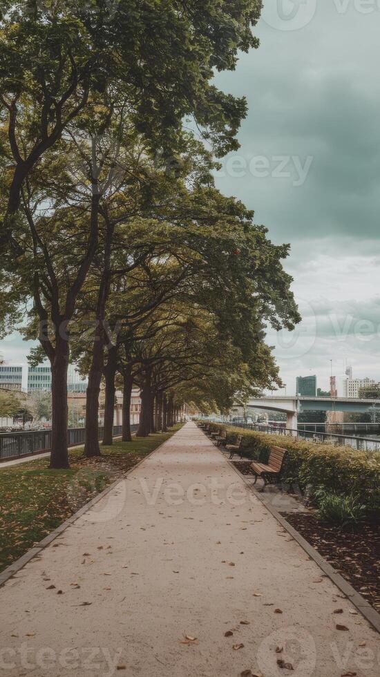 A path lined with trees and benches photo