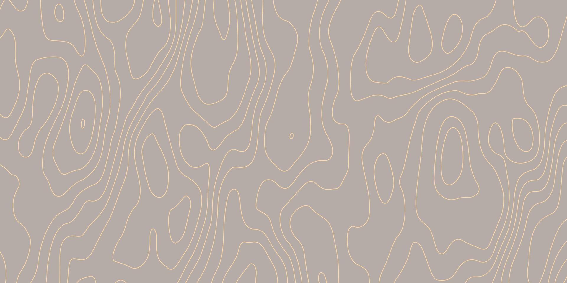Topographic Map Background. Subtle Contour Line Pattern vector