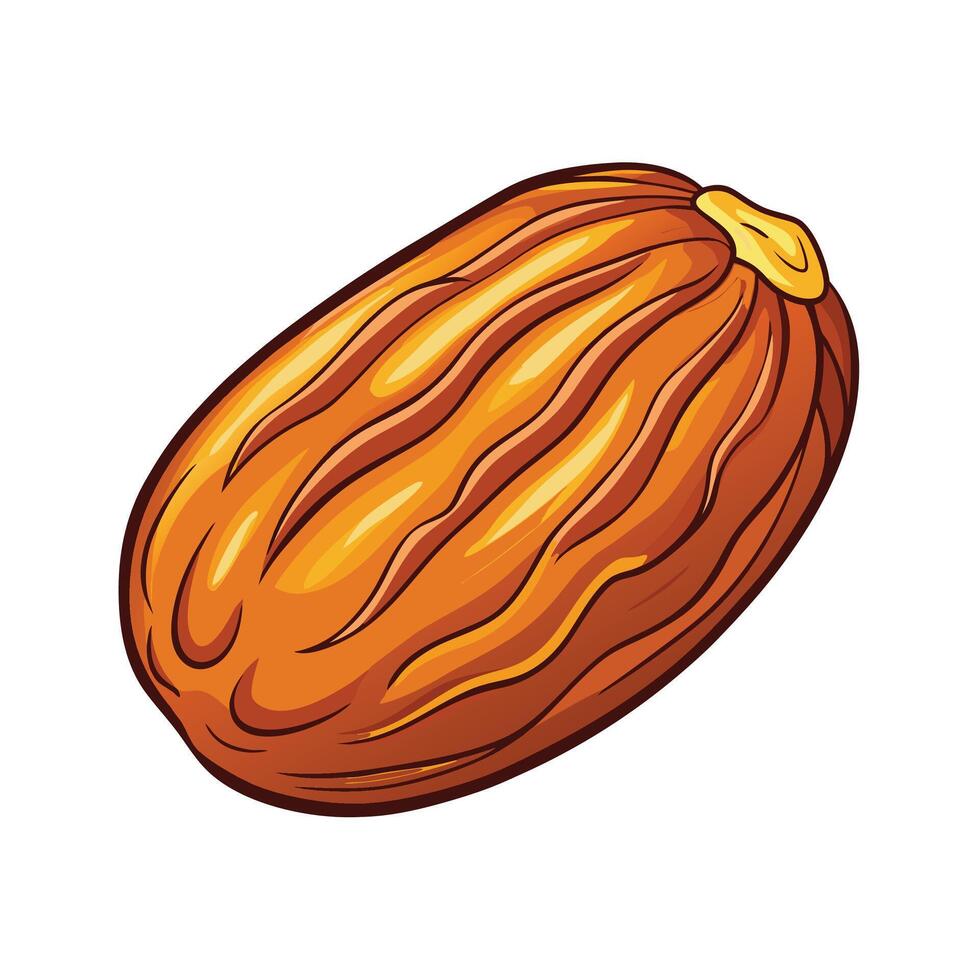 a cartoon illustration of a ripe cashew nut vector