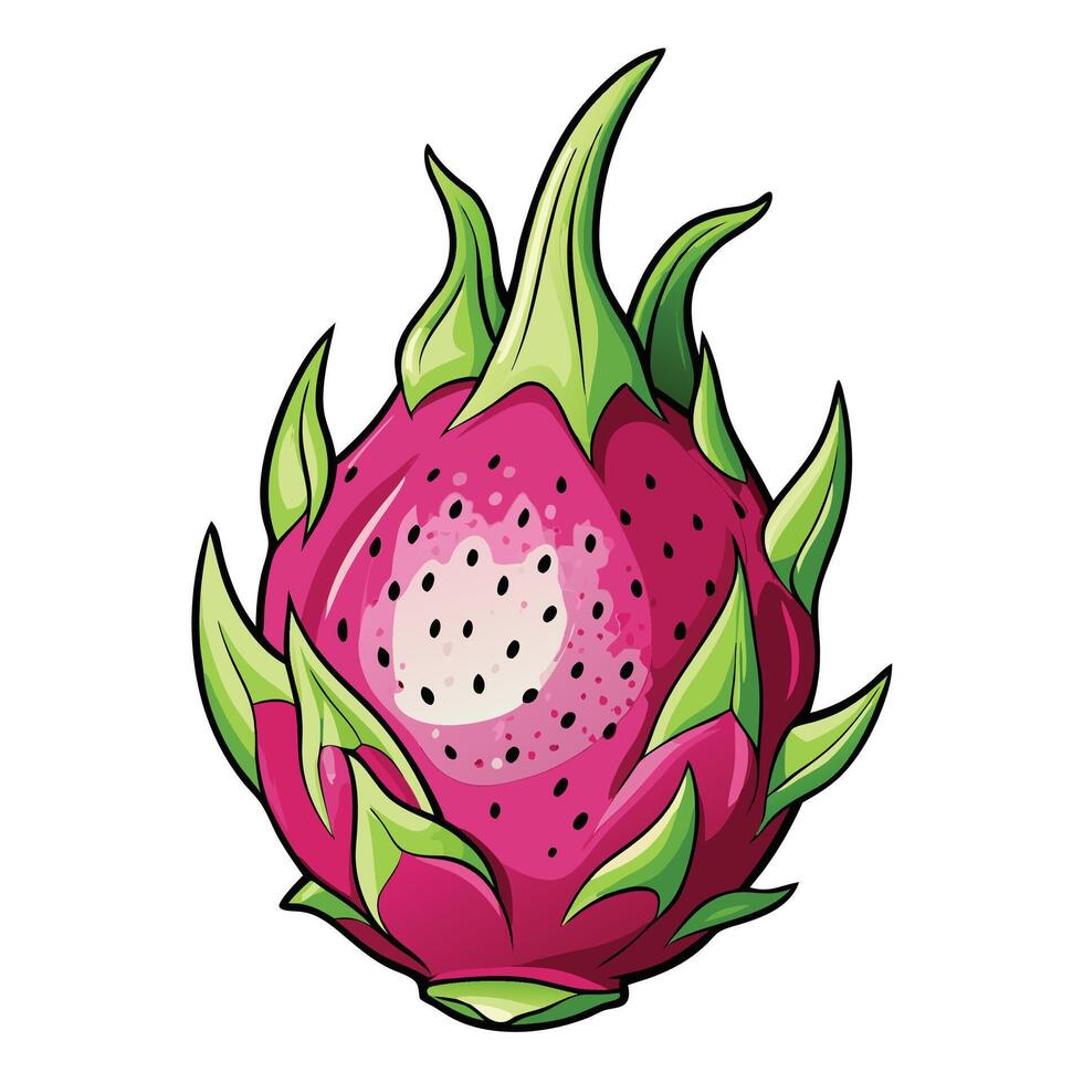 dragon fruit cartoon illustration illustration vector