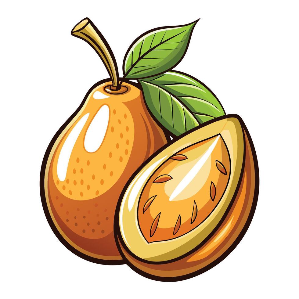 a pear with leaves and a half cut vector