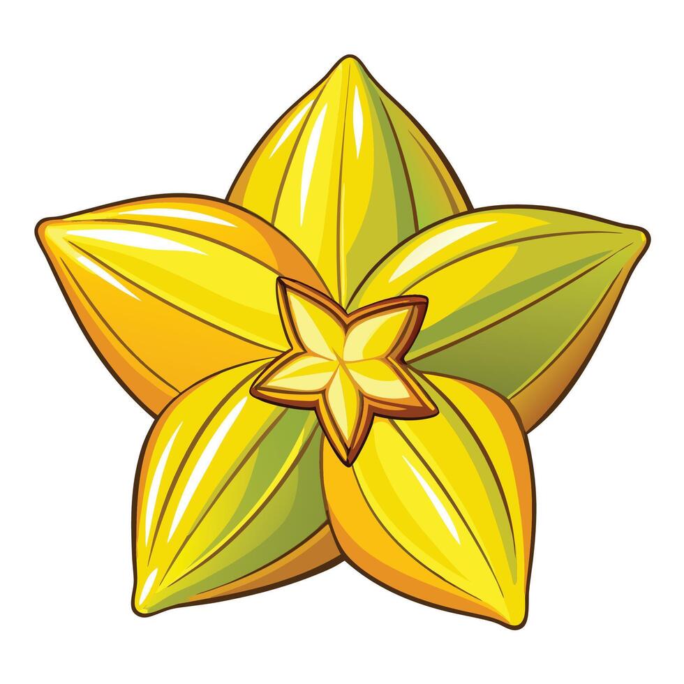 a yellow star flower with a green leaf vector