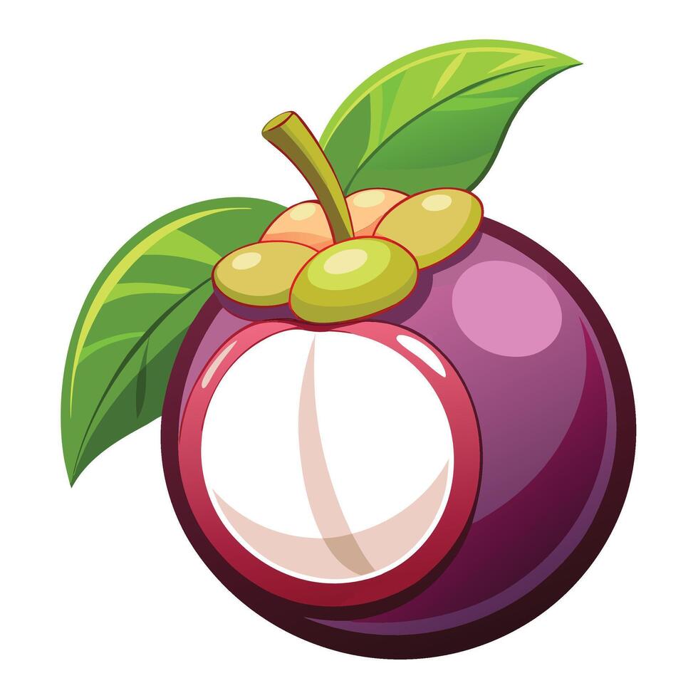 a purple fruit with a green leaf on it white background vector