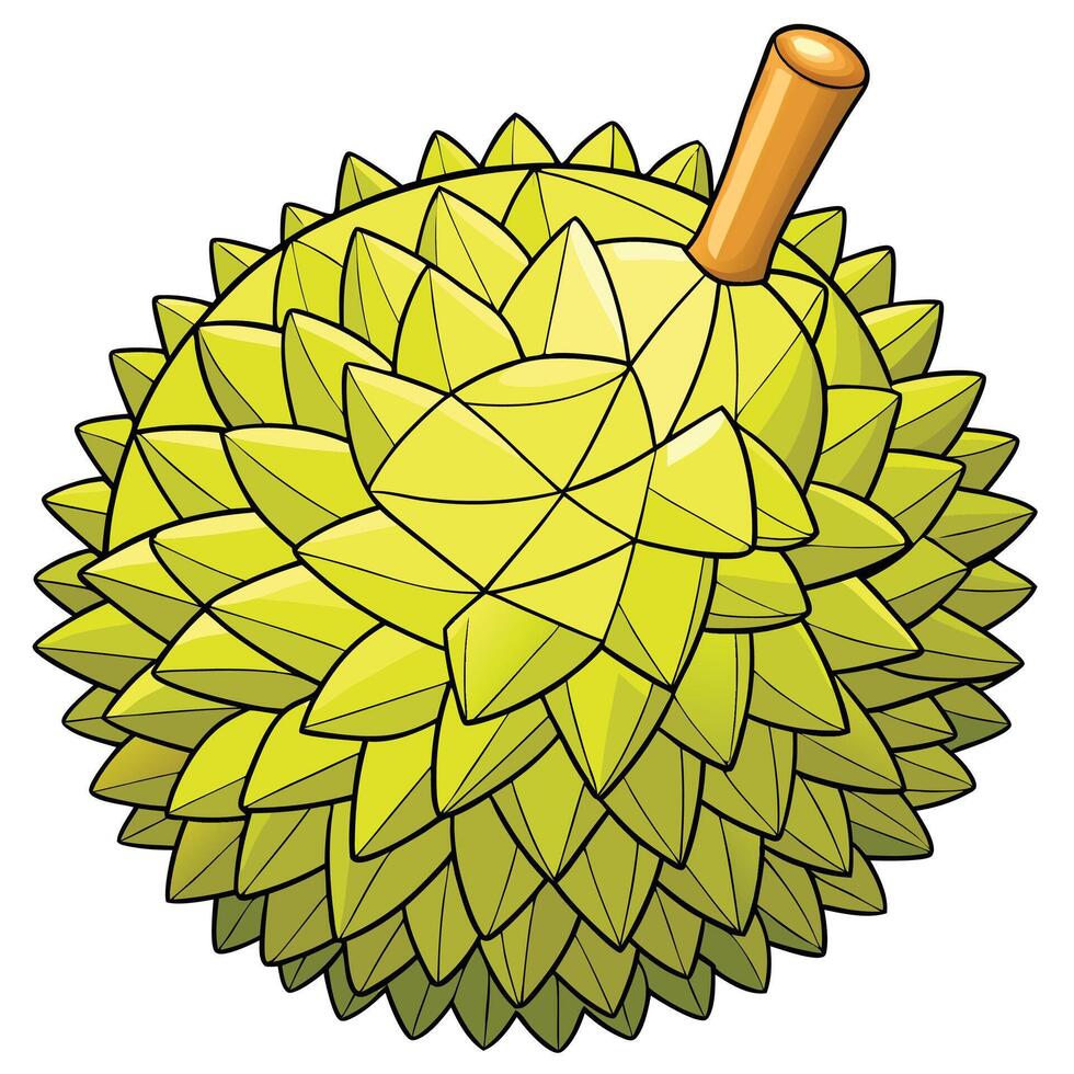 a durian fruit with a wooden stick vector