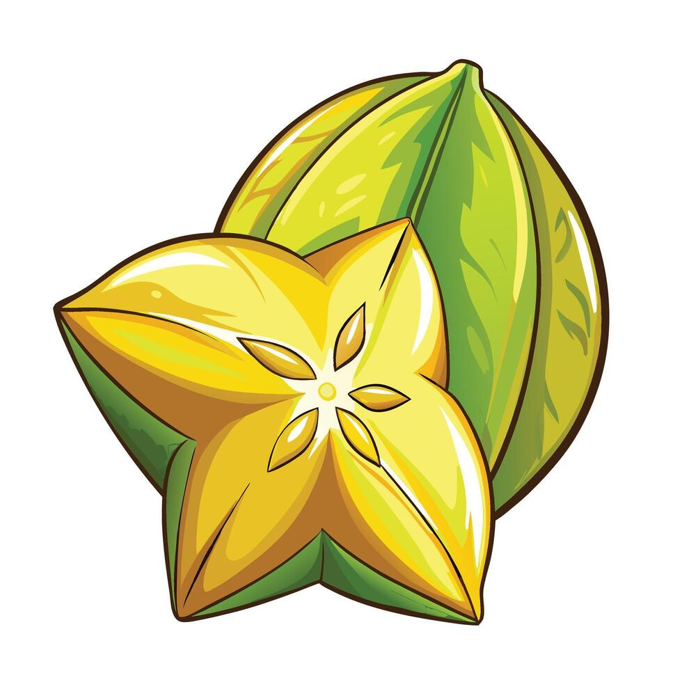 cocoa pod and star fruit illustration vector