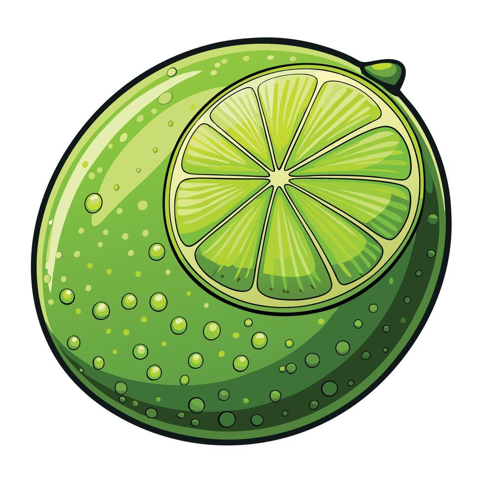 a lime with a slice on it vector