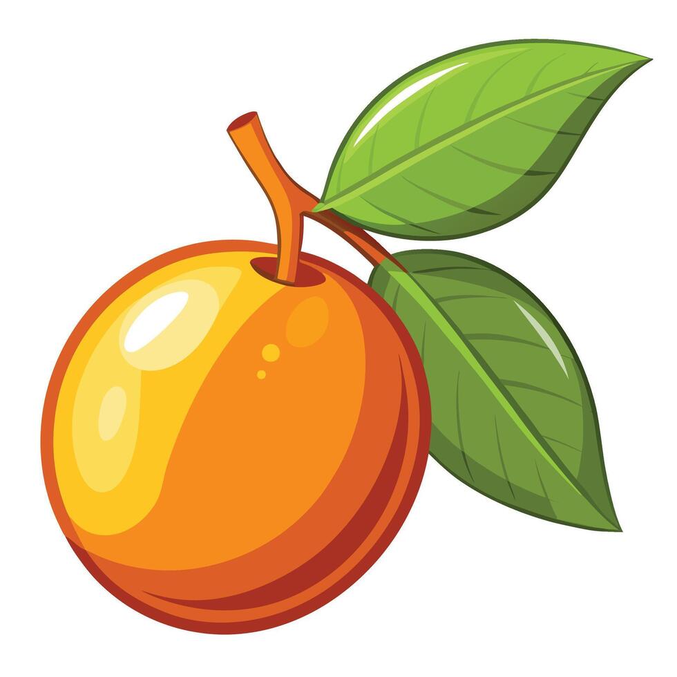 orange with a leaf on it vector