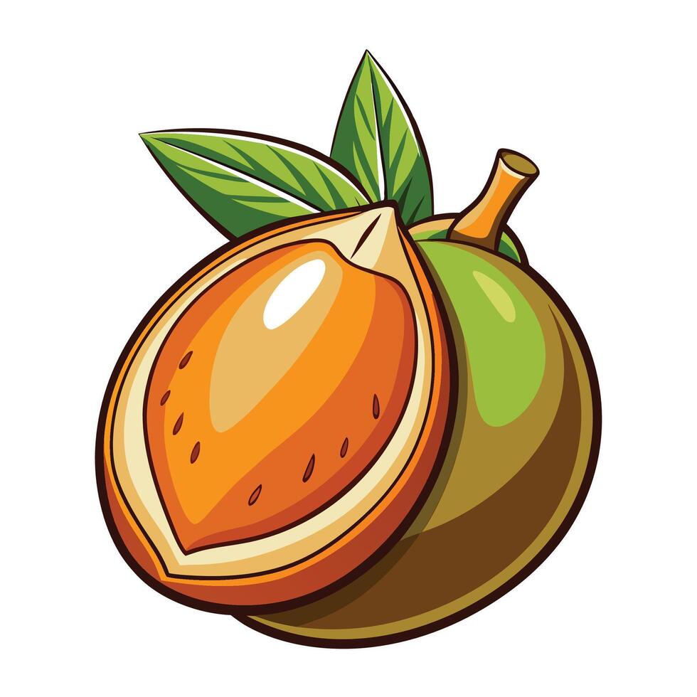 an open and half - cut fruit with leaves vector