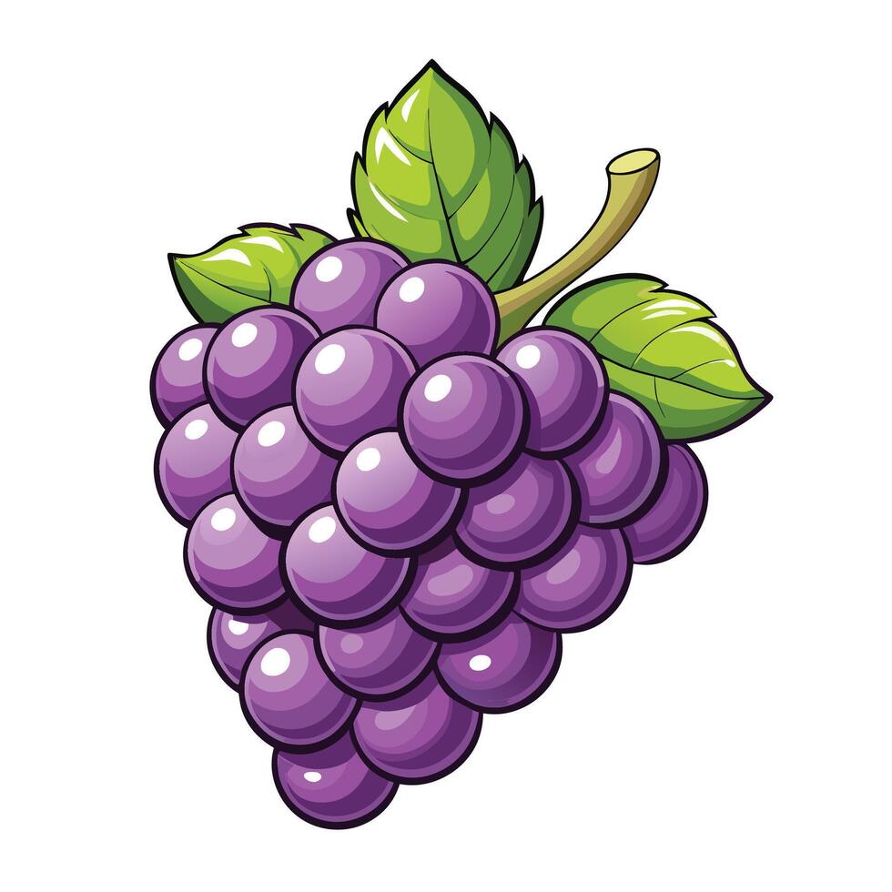 grapes white background illustration white background vector