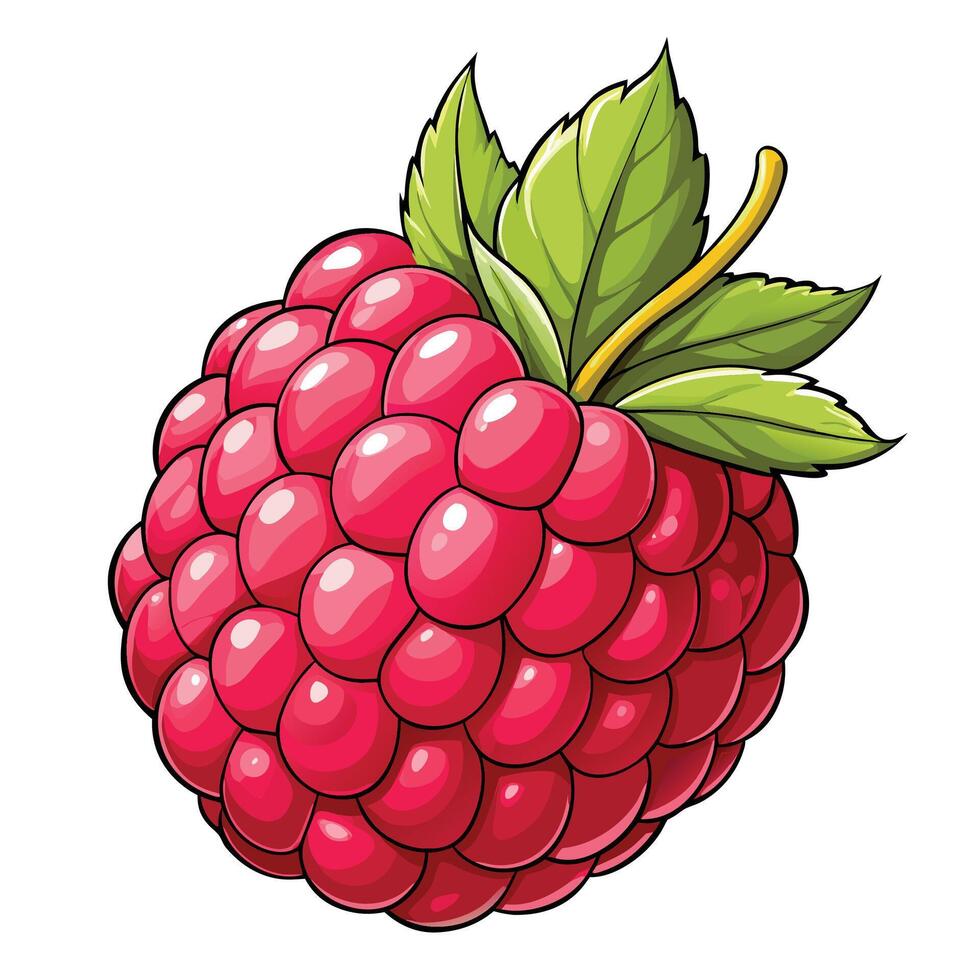 a raspberry is shown with leaves vector