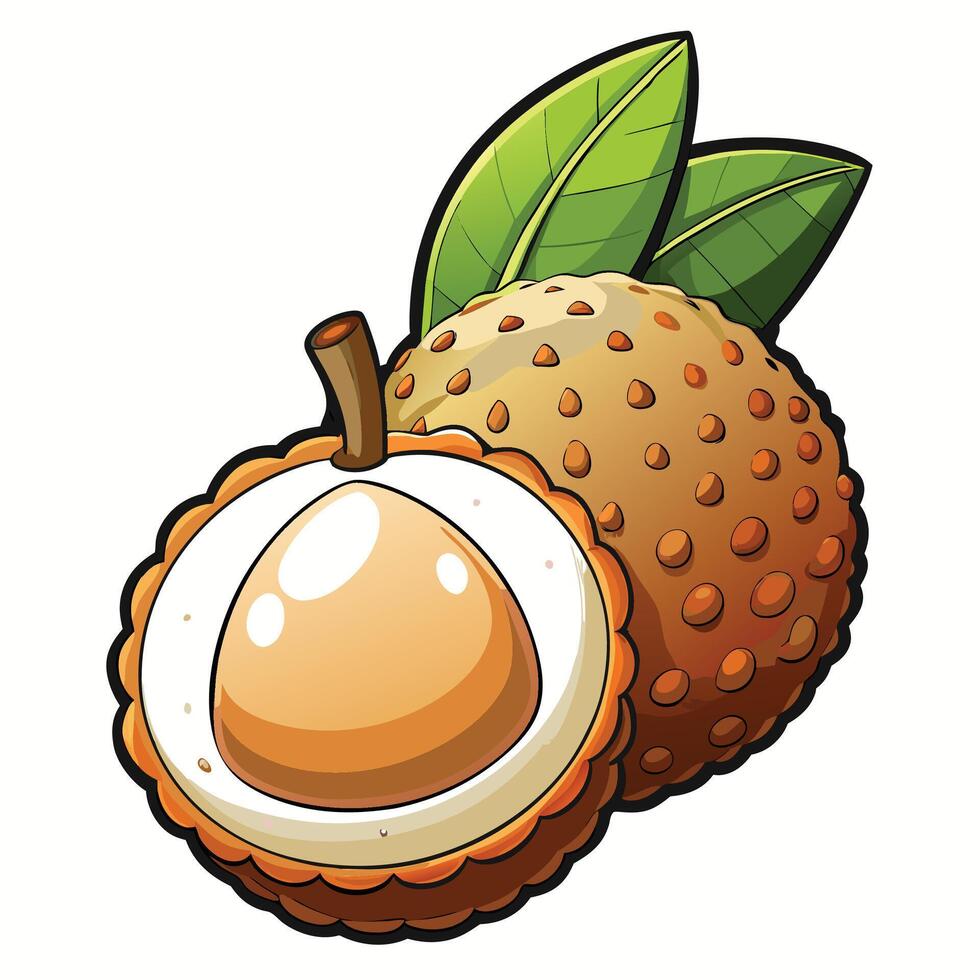 an illustration of a lychee fruit vector