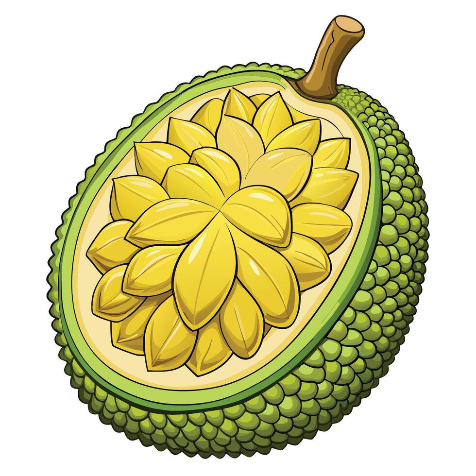 a jackfruit is shown with a green stem vector