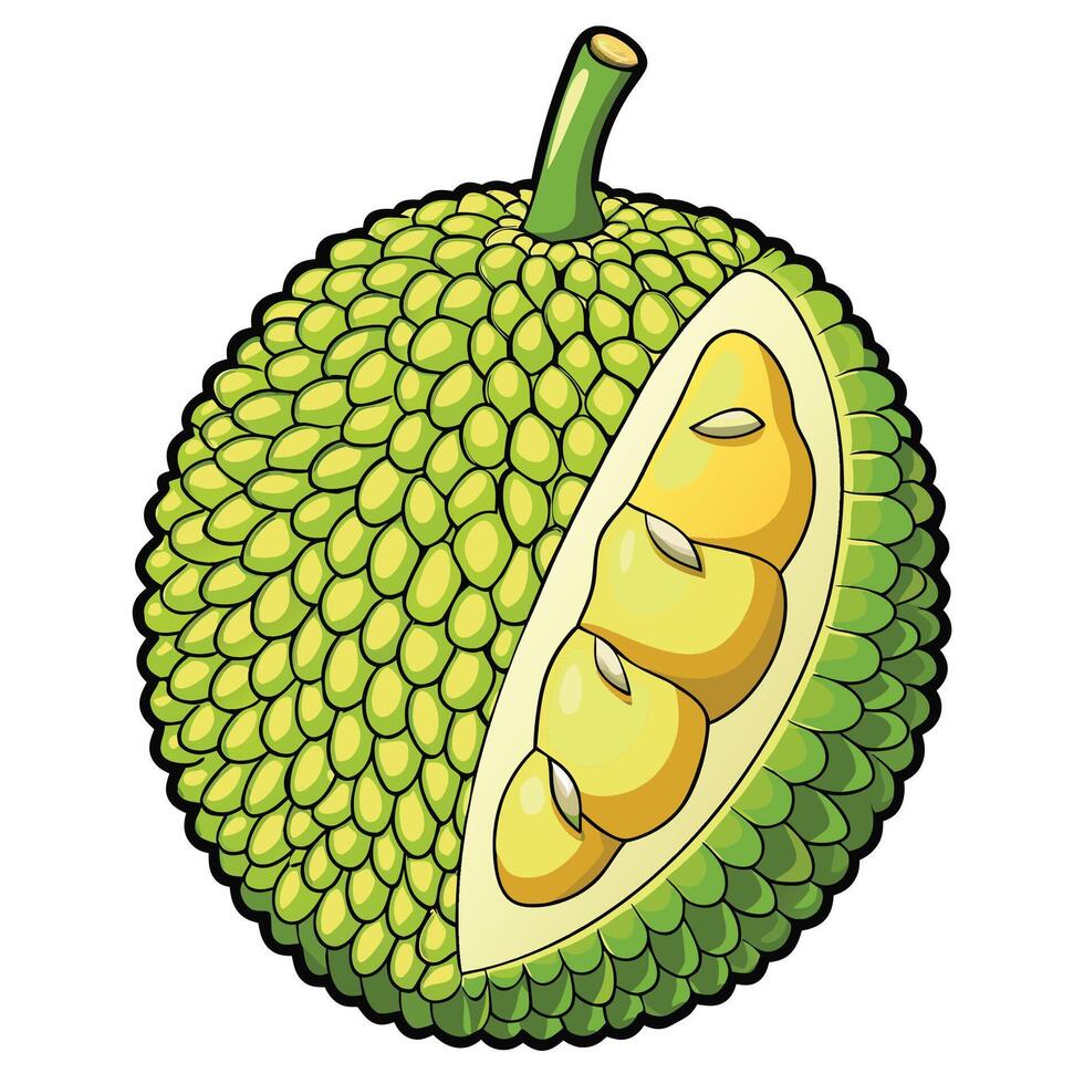 a jackfruit is cut in half and has green skin vector