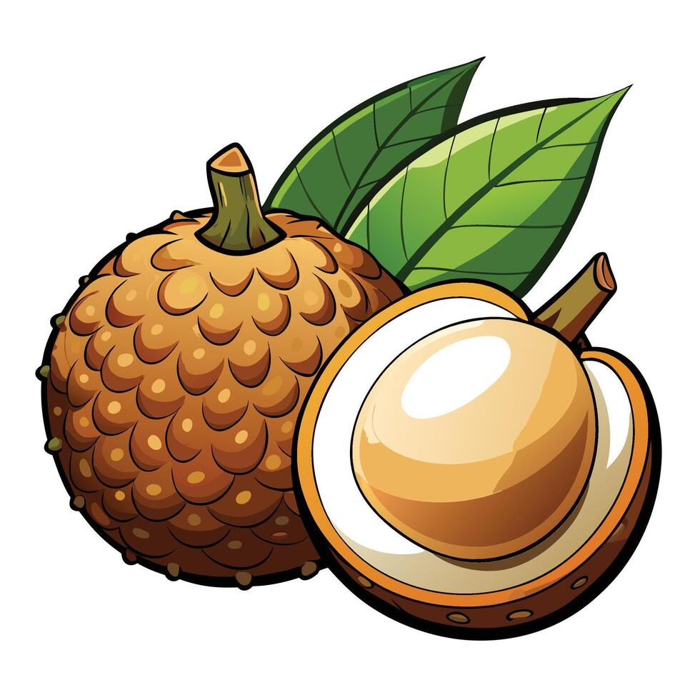 an image of a lychee fruit with leaves vector