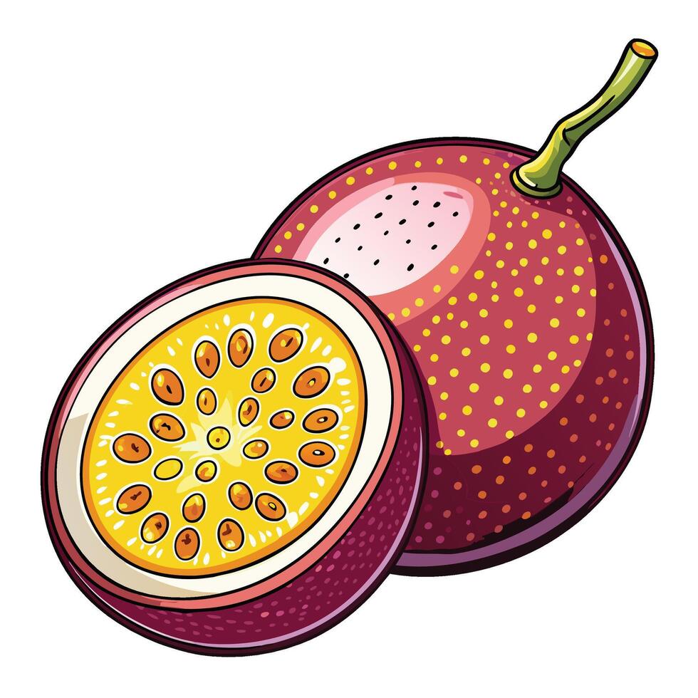 passion fruit white background illustration white background vector