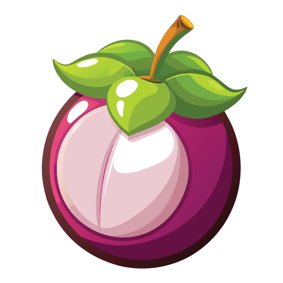 a purple plum fruit with green leaves on it vector