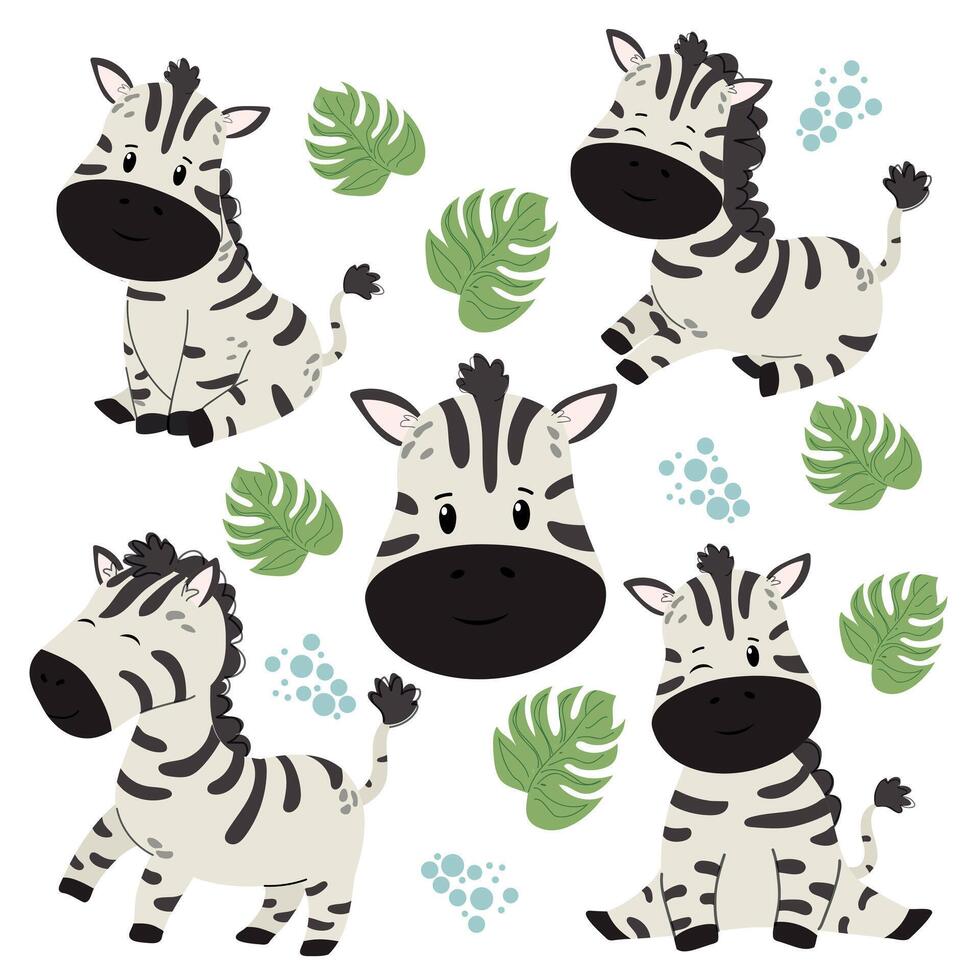 Safari childrens zebra set in flat style vector