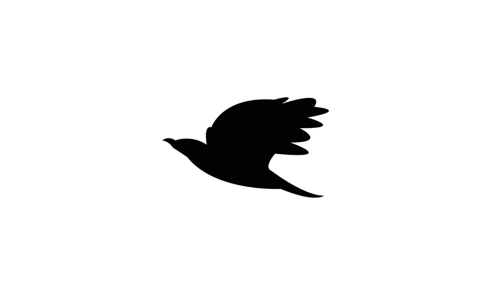 Flying African golden oriole bird Silhouette Design And Illustration. vector