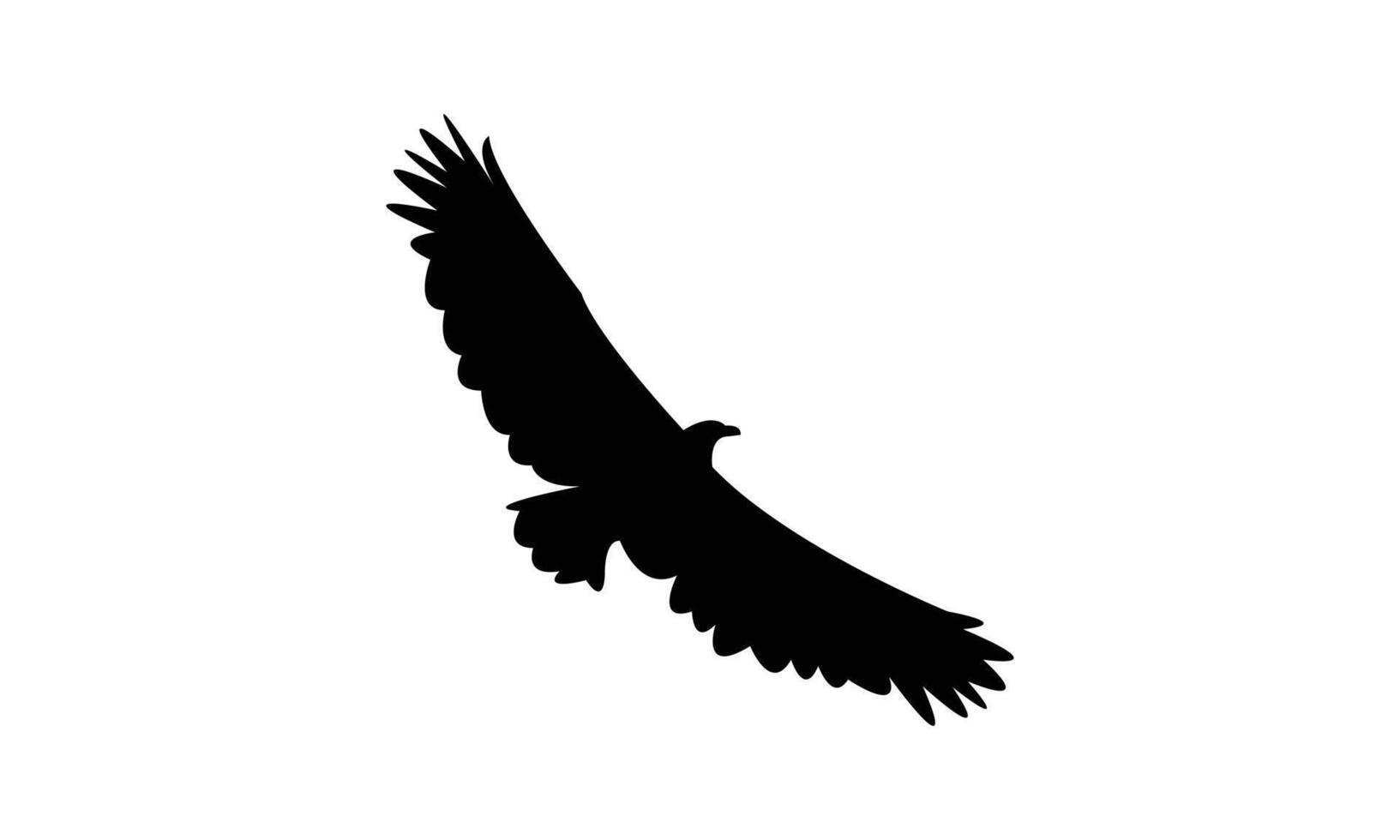 Flying African fish eagle bird Silhouette Design And Illustration. vector