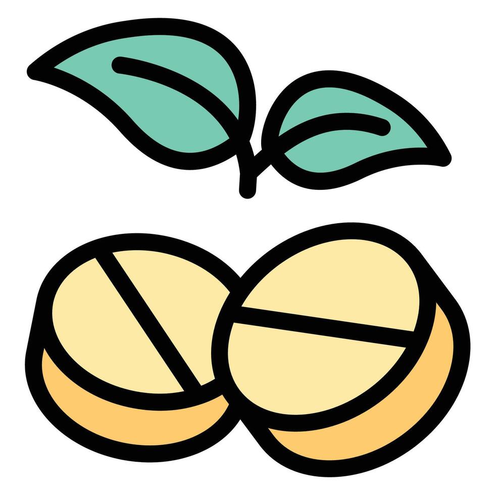 Herbal Treatment Icon Natural Remedies and Wellness in Flat Line Color Style. vector