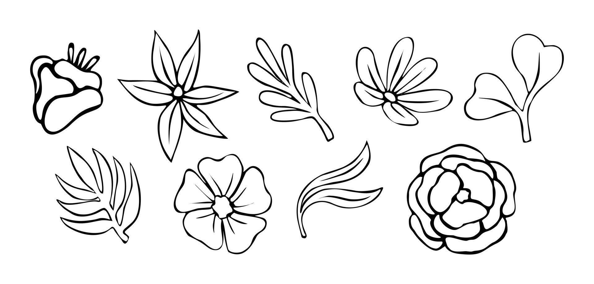 Set of different abstract flowers, leaves drawing vector