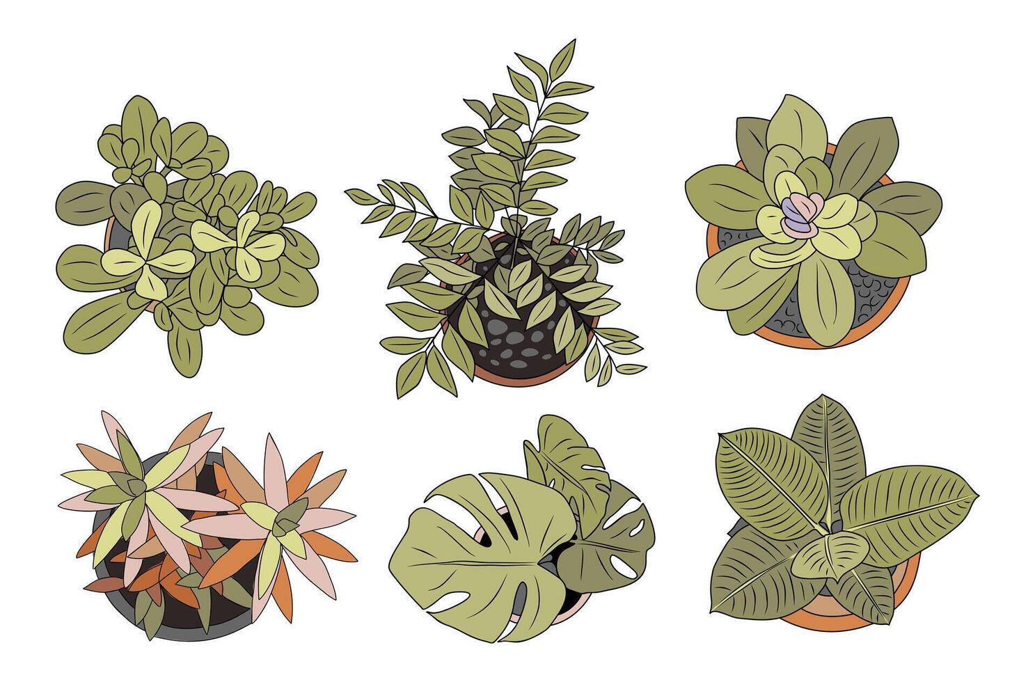 Set of different house plants top view. vector
