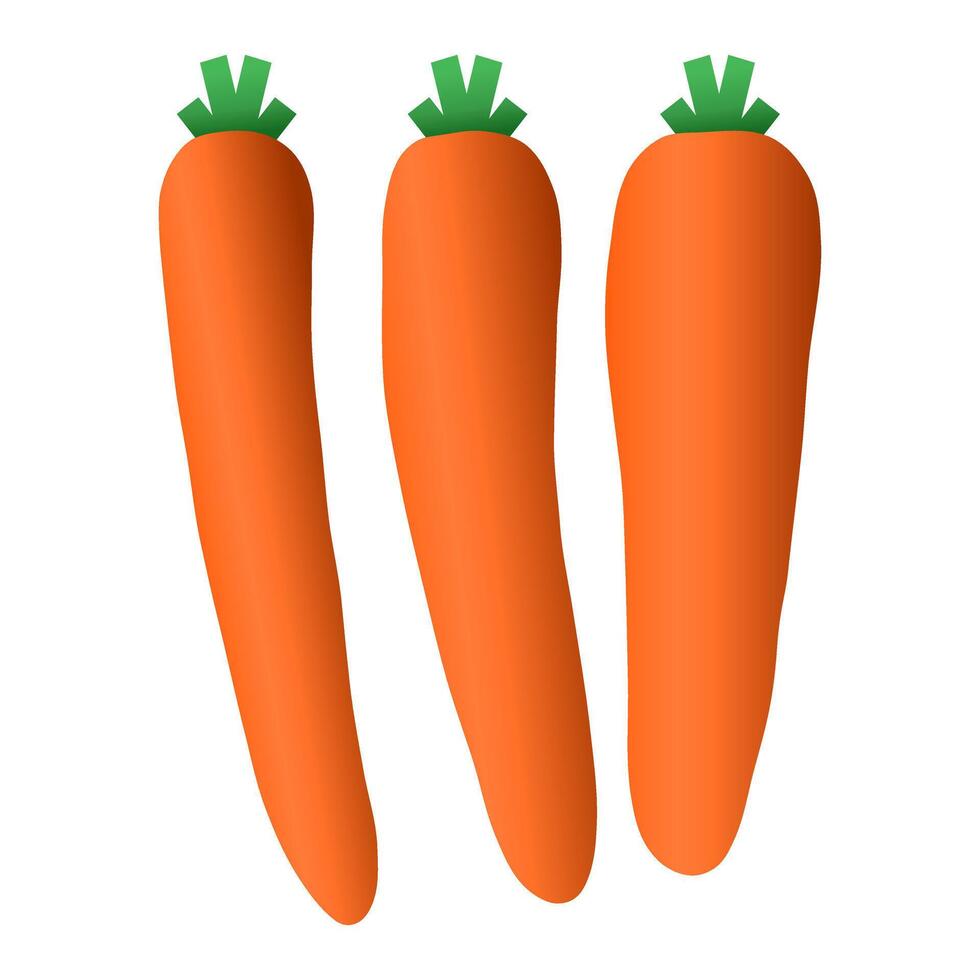 Fresh Ripe Orange Carrot. Healthy Carrot Element. Raw Carrot Icon. vector