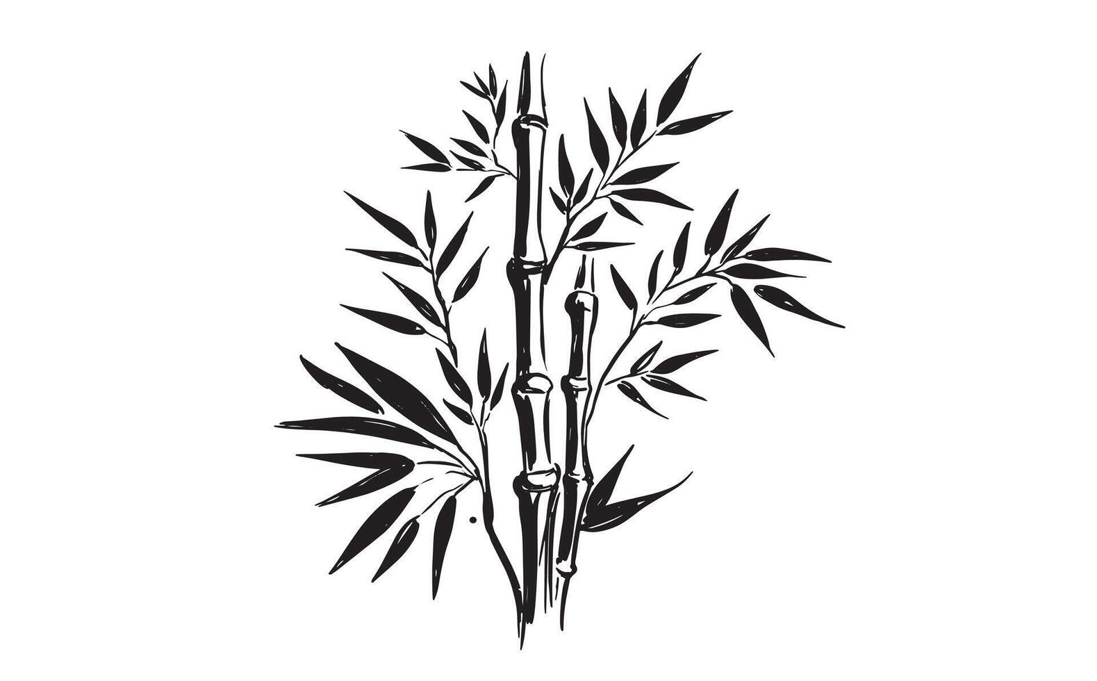 Bamboo tree on white, Hand drawn style vector