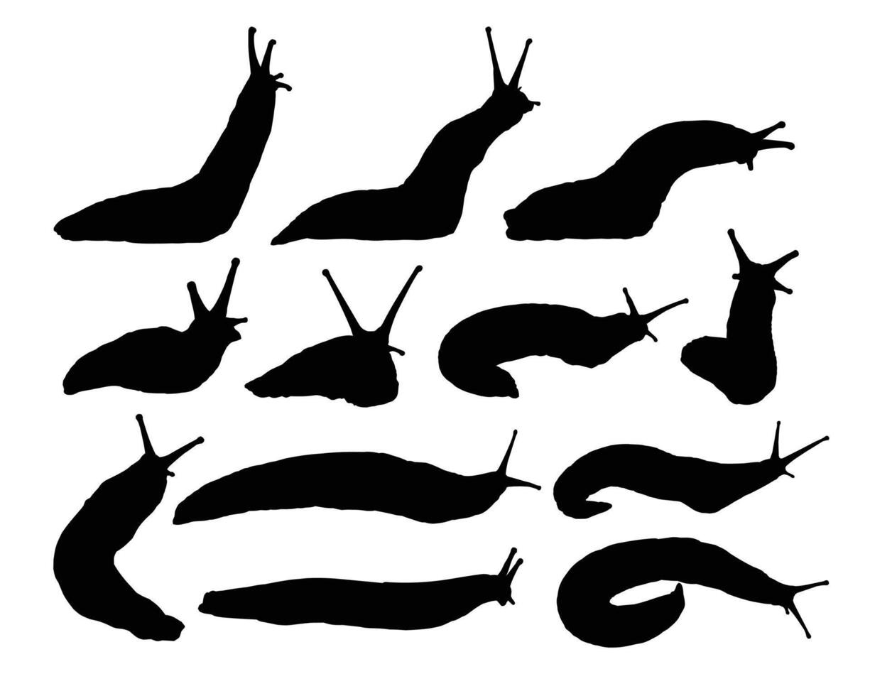 Set silhouettes of slugs. vector