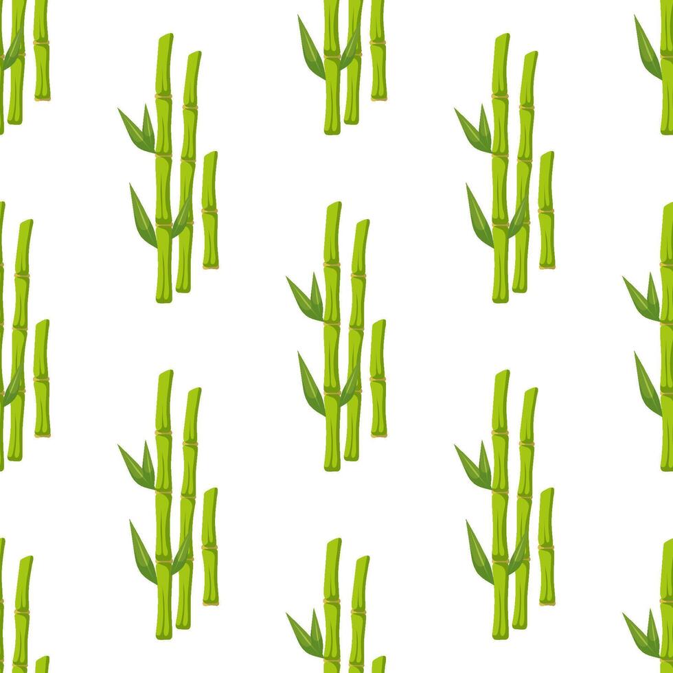 Seamless pattern with green bamboo stalks and leaves on white background, botanical illustration vector