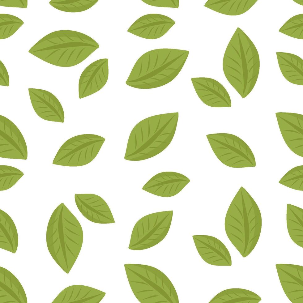 Seamless pattern with green leaves on white background, minimal botanical design vector