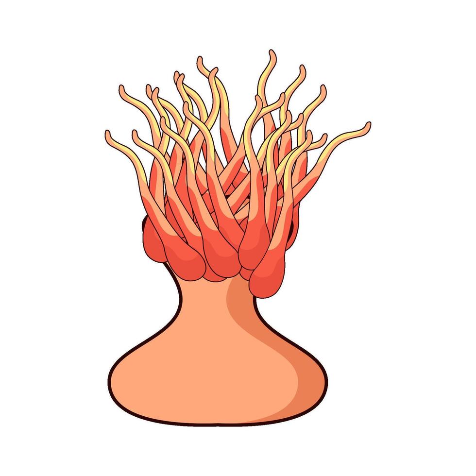 illustration of Anemone vector