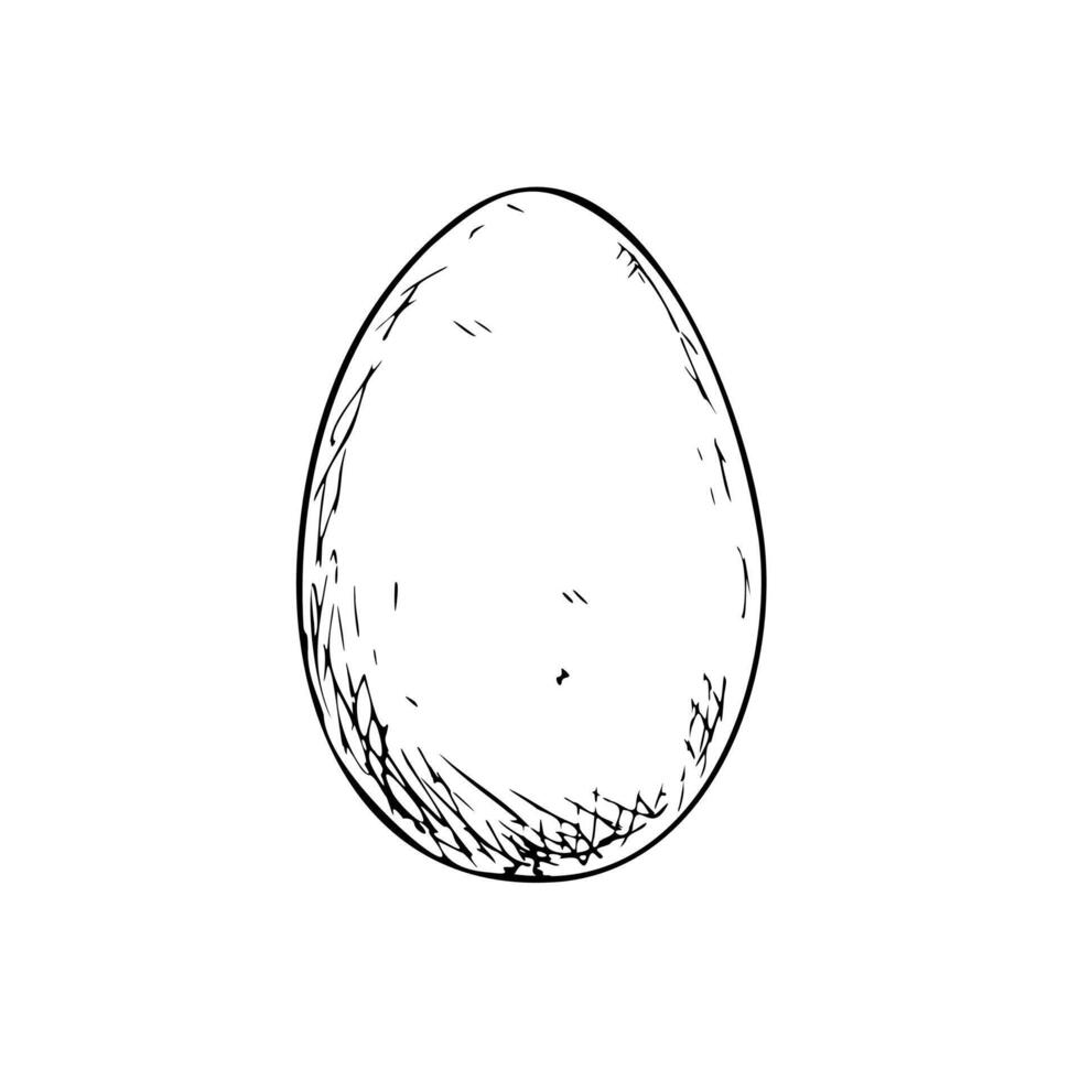 raw egg. Graphic ink Eggshell illustration isolated on background. Hand drawn line sketch. For designers, prints, logo, icon, menu, postcards, holiday, covers vector