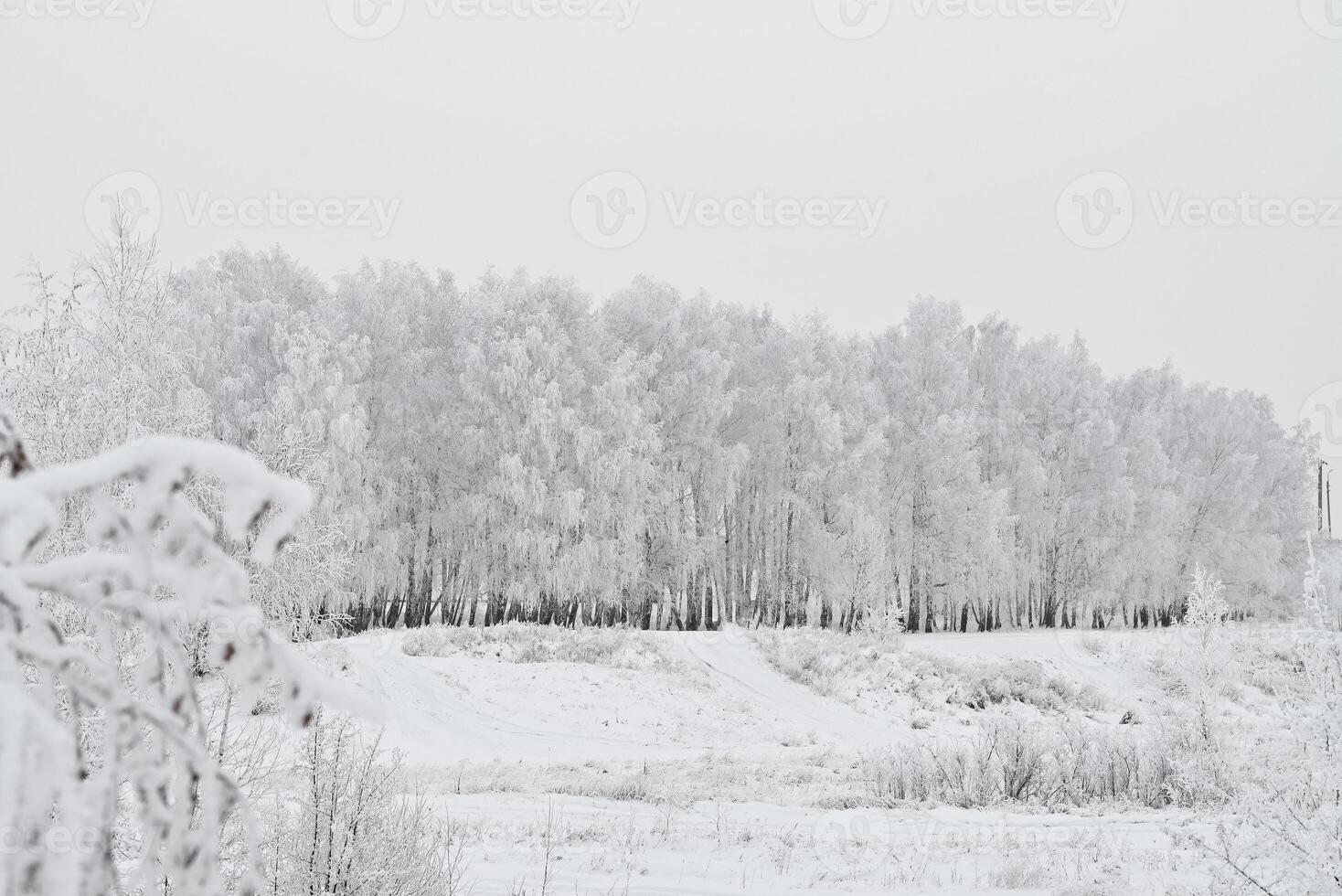 A snow-covered road i photo
