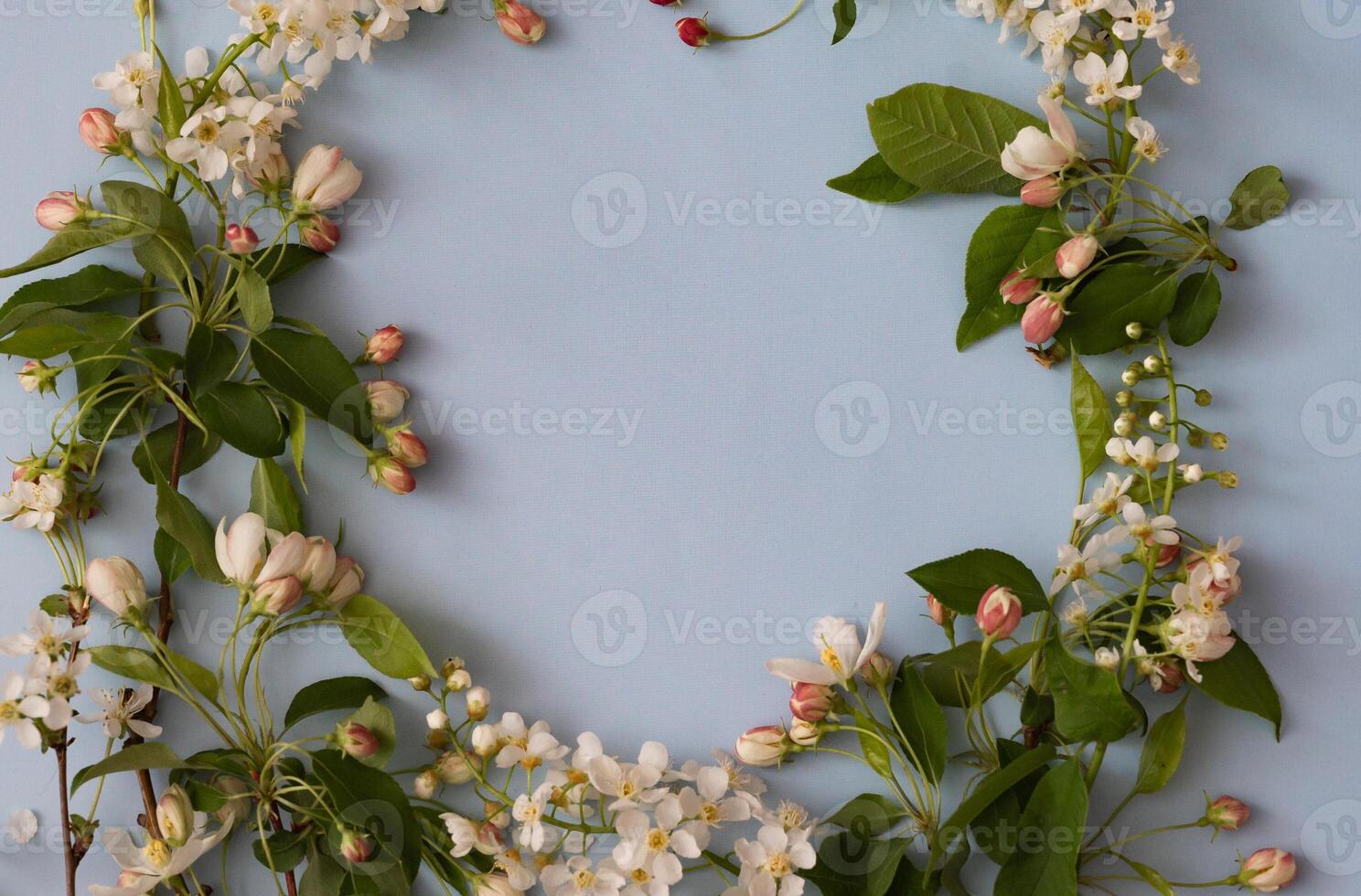 Spring flowers, woman freelancing concept On a sunny, beautiful day. View from above. photo