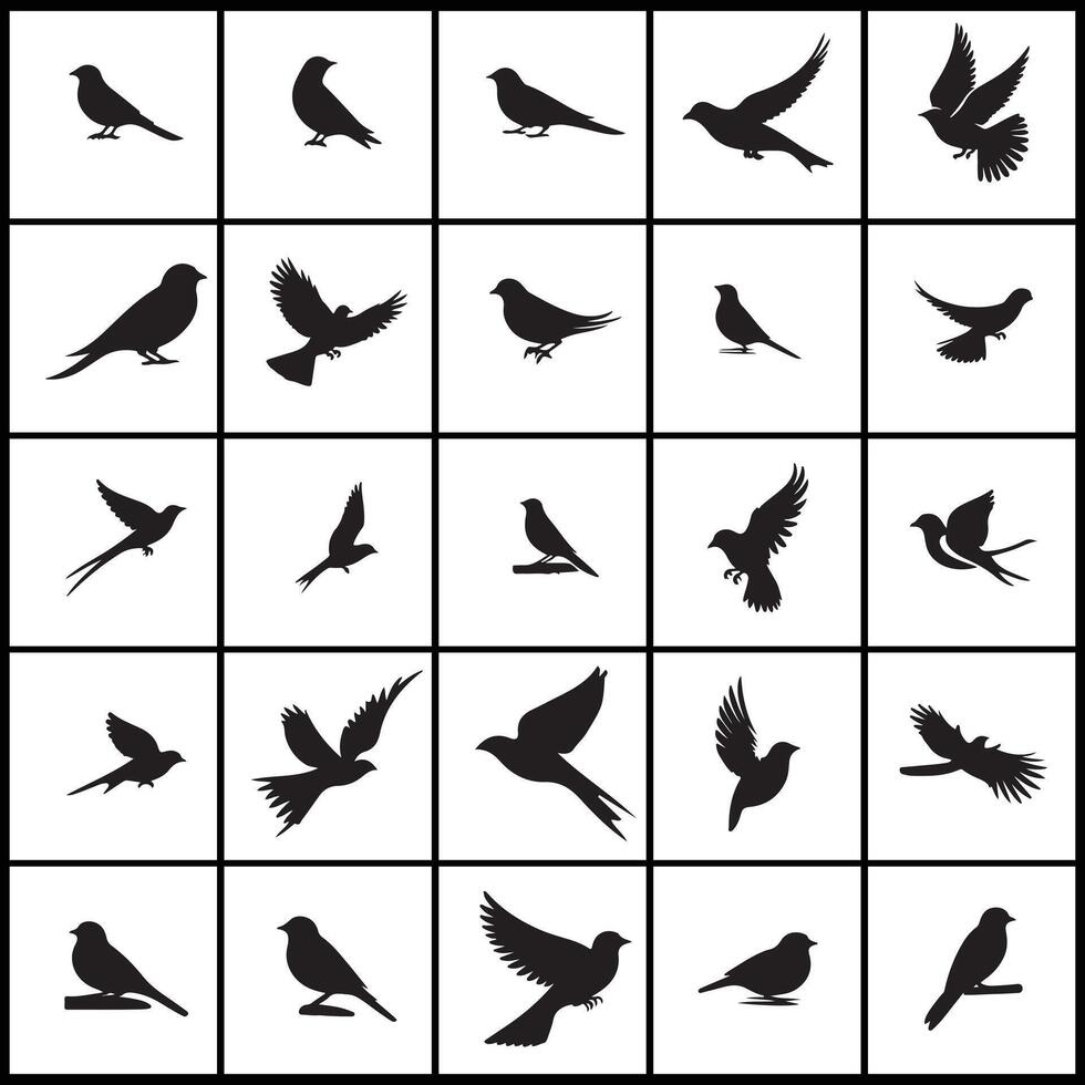 birds silhouettes set of birds design on a white background vector