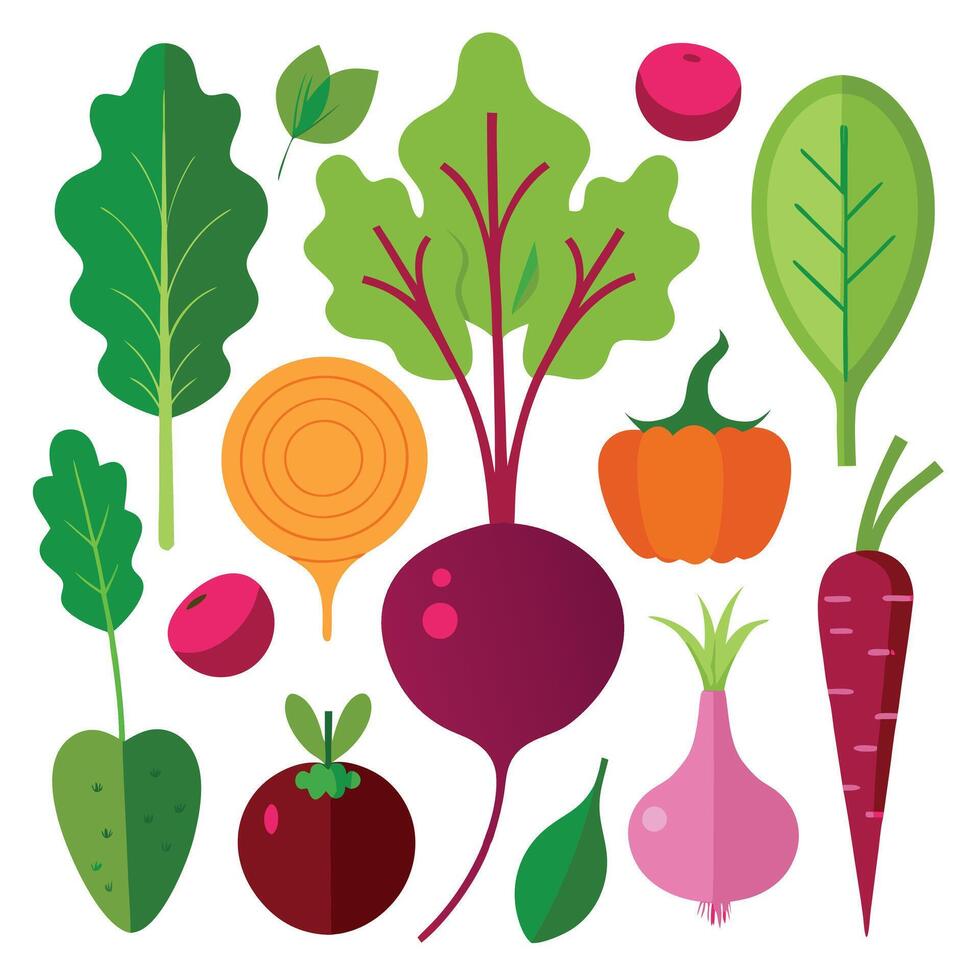 Creative Set of an Colorful fresh organic vegetables design vector