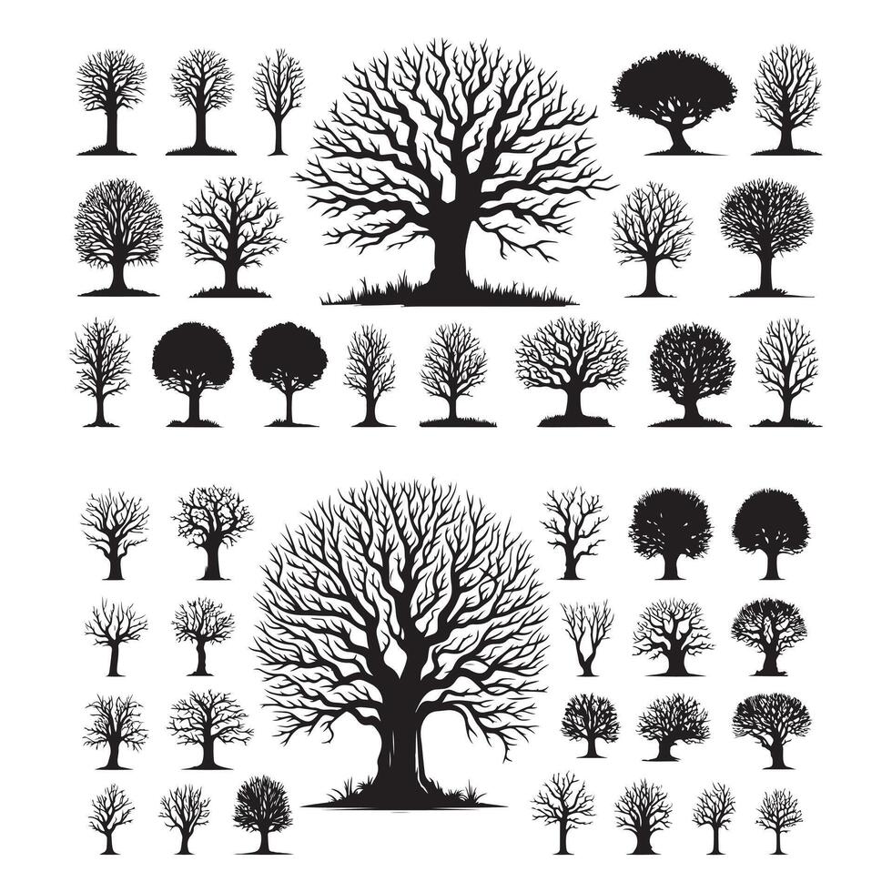 Creative collection of silhouette trees and bushes in different shapes design on a white background vector