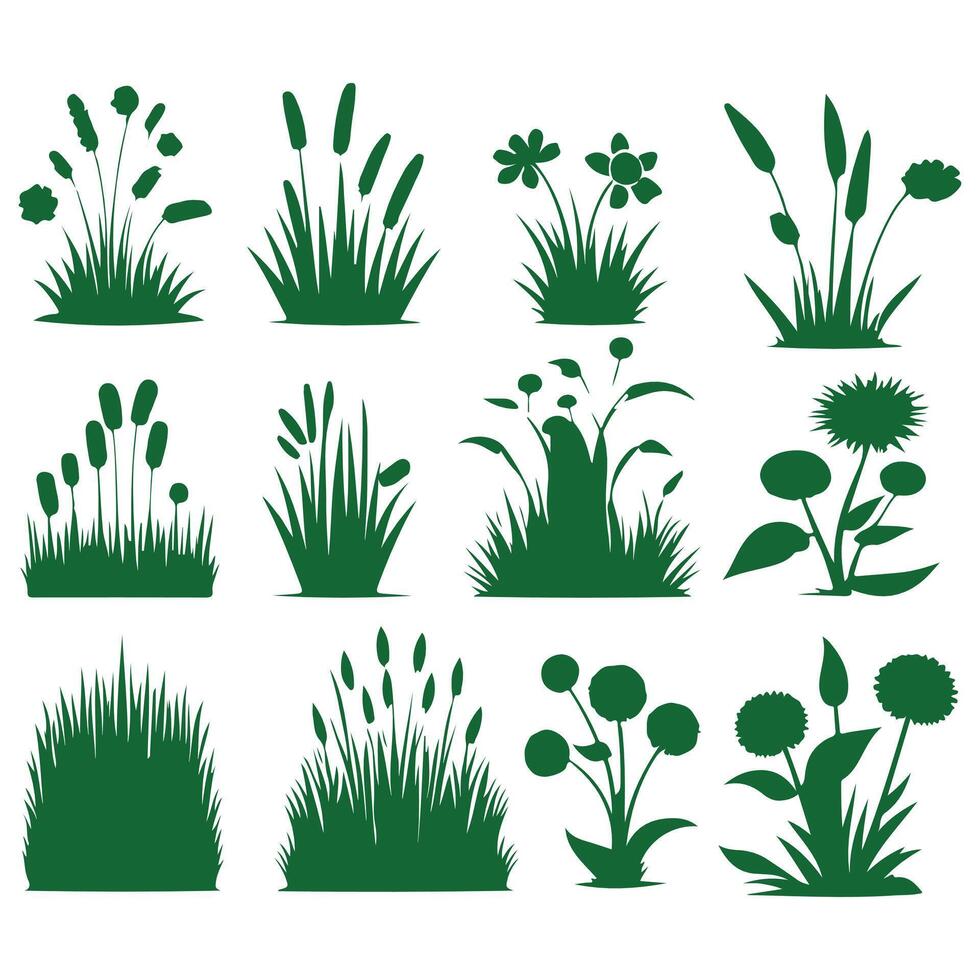 Set of Green Grass Isolated on White Background. vector