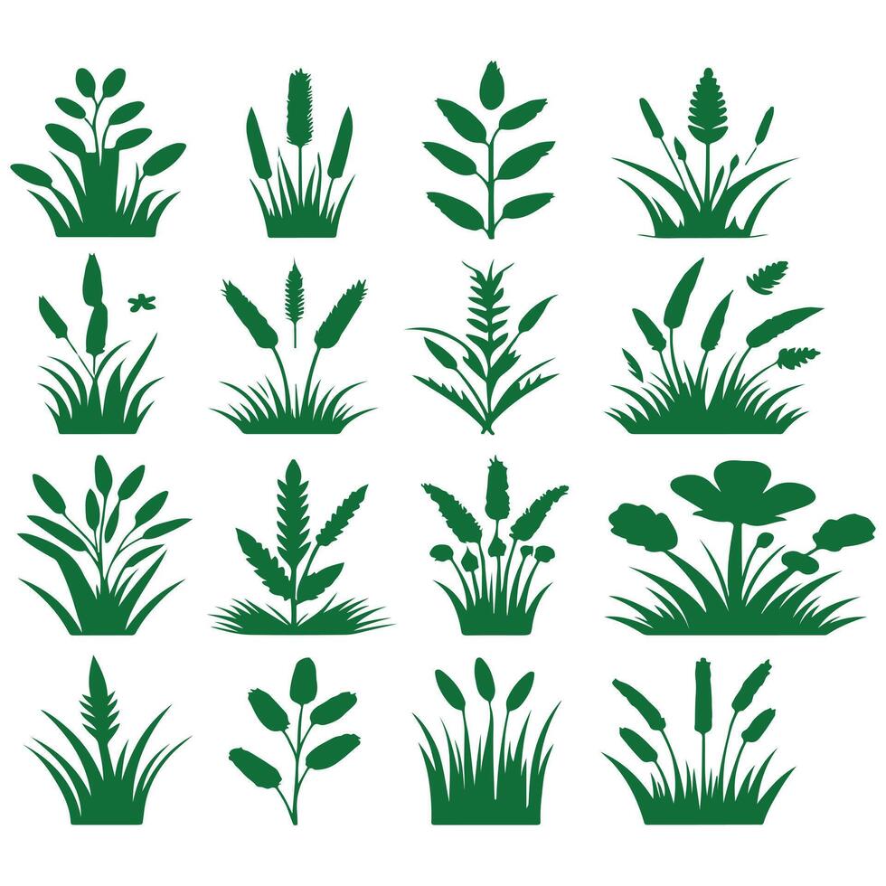 green grass silhouettes various design on a white background vector