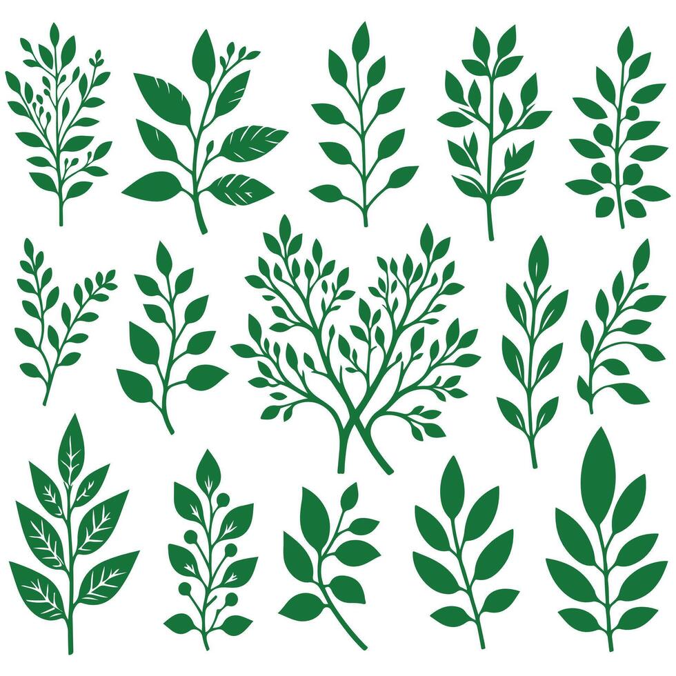 green leaves silhouette design on a white background vector