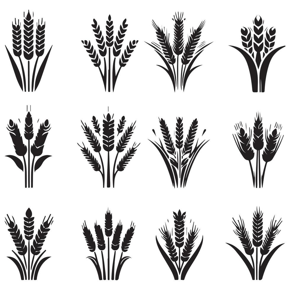 Silhouette wheat and barley icons set design on a white background vector