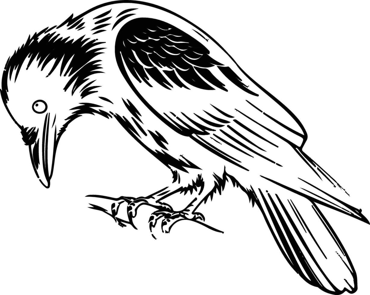 A white on black T-shirt illustration of a crow vector