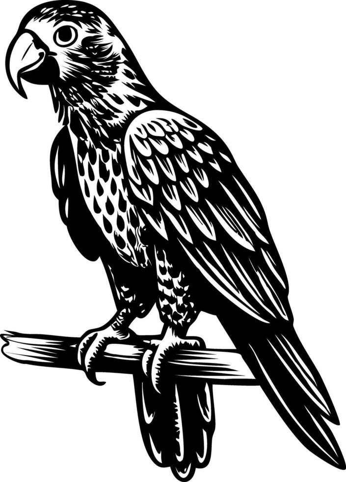 A sketchy illustration of a circus parrot vector