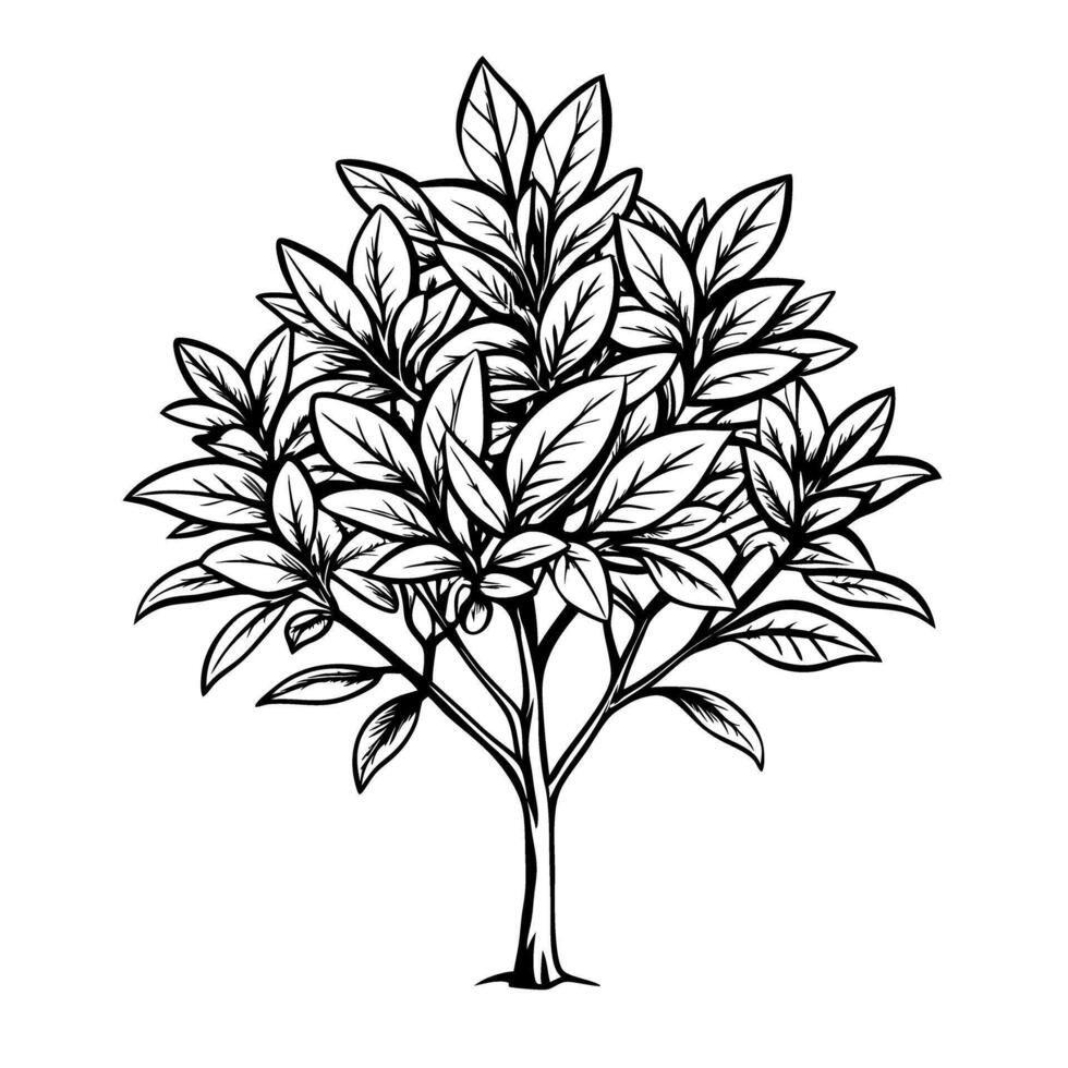 Black and white illustration of a tree with lush foliage and detailed leaves vector