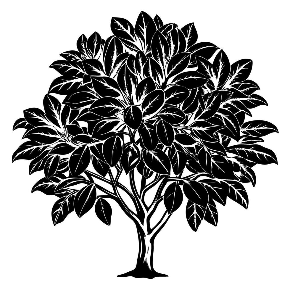 Illustration of a detailed tree with lush leaves in black and white vector