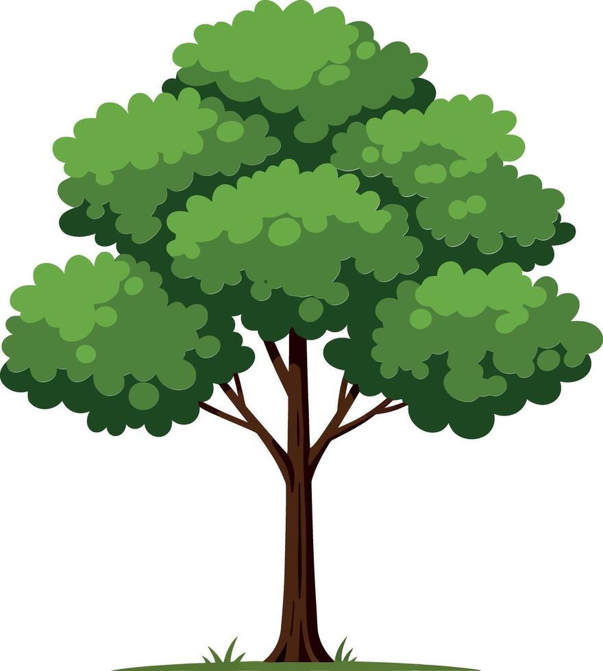 A vibrant green tree with rounded foliage and a sturdy trunk in a flat design style representing nature in art vector