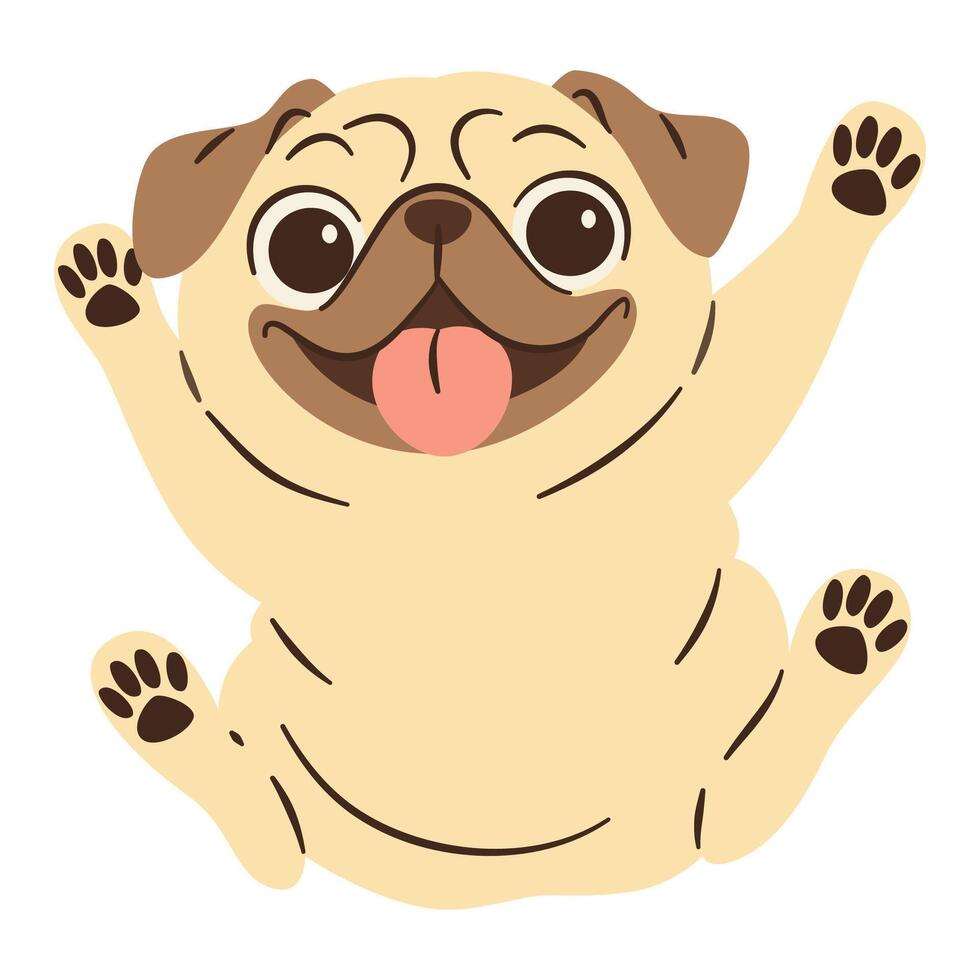 Flat illustration in a simple children's style. Cute pug breed dog jumping joyfully on white background. vector