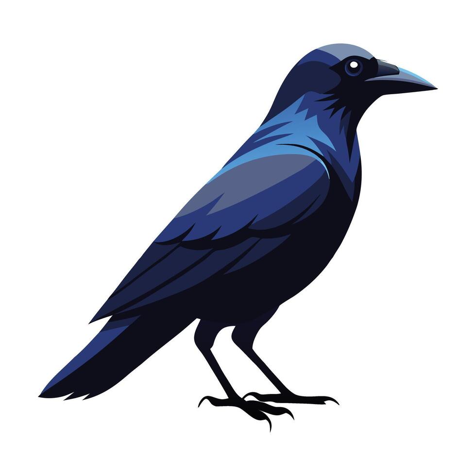 a crow is standing on its feet, with its head down vector